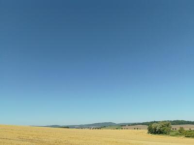 20250812 VJ IMG 20250812 101239